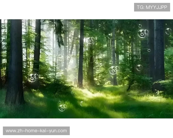 空气质量优化系统结合负离子技术 为密闭场馆提供了森林级呼吸环境